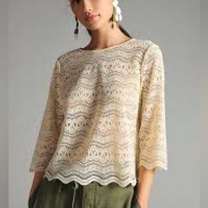 NWT DOLAN Anthropologie Lace Tee in Cream